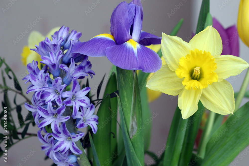 Bouquet of Easter Flowers