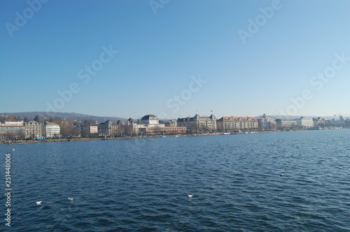 Blick auf den Zürichsee mit den Residenzen und Wasservögel