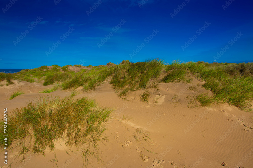 Coastal sand dunes under a blue sky