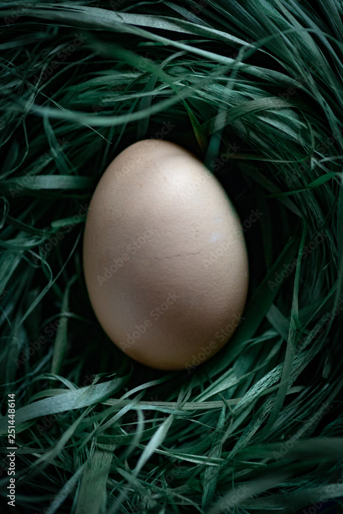 chicken eggs basket on the hey chicken eggs basket on the hey