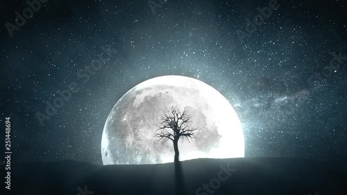 Time lapse of a sprouting tree against the background of a full moon and a rotating universe around