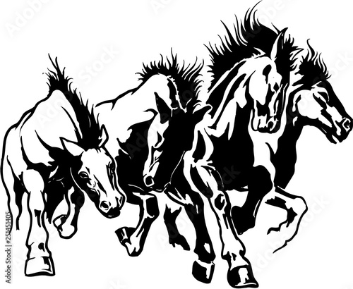 Horses Stampeding Vector Illustration photo