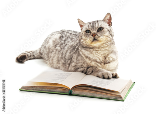 Cat and book.