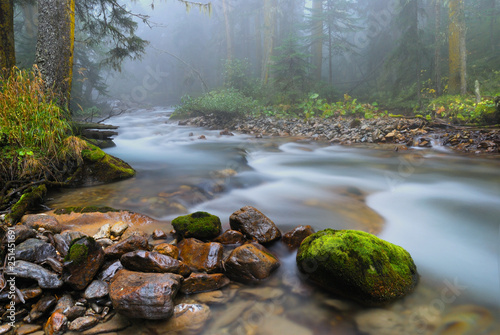 Stream in the mountain forest and fog