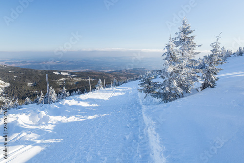 Beautiful winter day in Krkonose (Poland, Czech Republic)