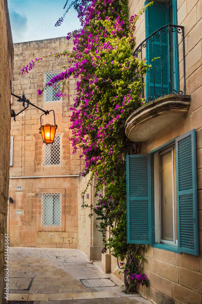 Mdina, Malta: traditional Maltese limestone house with bright purple ...