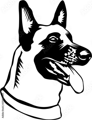 Belgian Malinois Vector Illustration