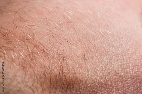 Macro of human skin on the hand with hair