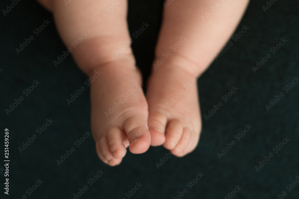 feet of a newborn baby feet of a newborn baby