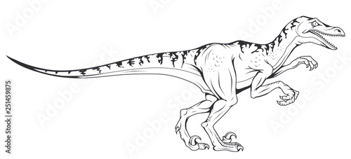 velociraptor vector dinosaur , vector graphic to design
