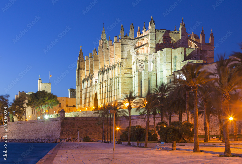 Palma de Mallorca - The cathedral La Seu at dusk.