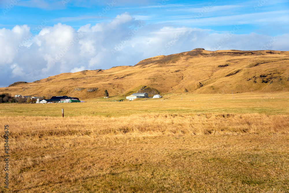 Rural Landscape in Iceland with a Field with Grazing Sheep and a Farm at the Foot of a Grassy Hill on a Sunny Autumn Day