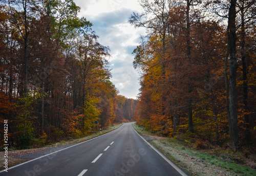 German Autumn Road