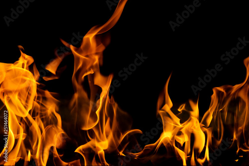 Background orange fire flame closeup  Blaze forest fire