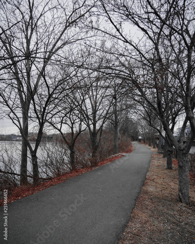 park walkway