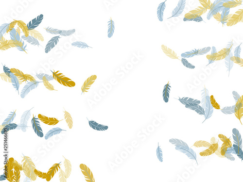 Fluffy twirled feathers on white design.