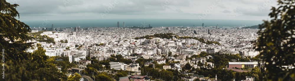 Panoramic view of Barcelona cityscape framed with greenery and trees: plenty of buildings, houses, parks, and skyscrapers, residential and touristic districts, seascape on the horizon