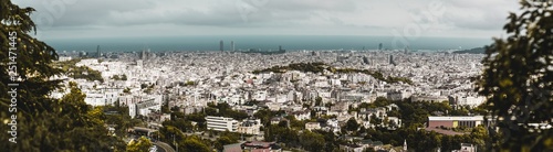 Panoramic view of Barcelona cityscape framed with greenery and trees: plenty of buildings, houses, parks, and skyscrapers, residential and touristic districts, seascape on the horizon © skyNext