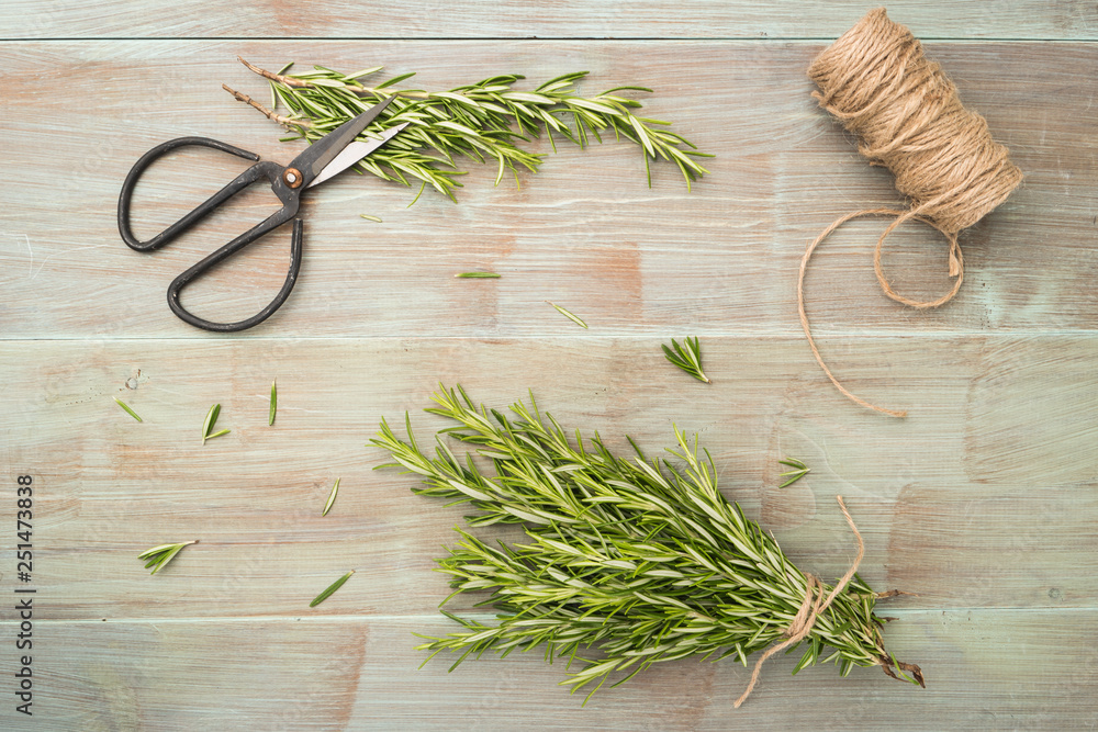 Obraz premium Rosemary for planting with garden tools on wooden table