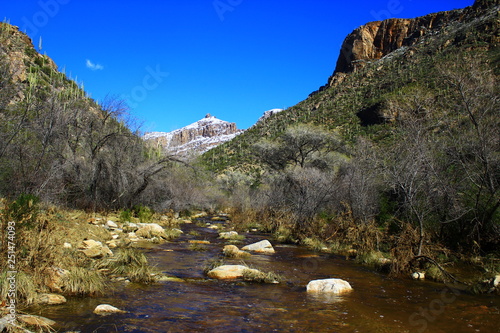Sabino Creek flowing through the Catalina mountains in winter. 