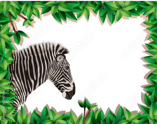 Zebra in nature frame