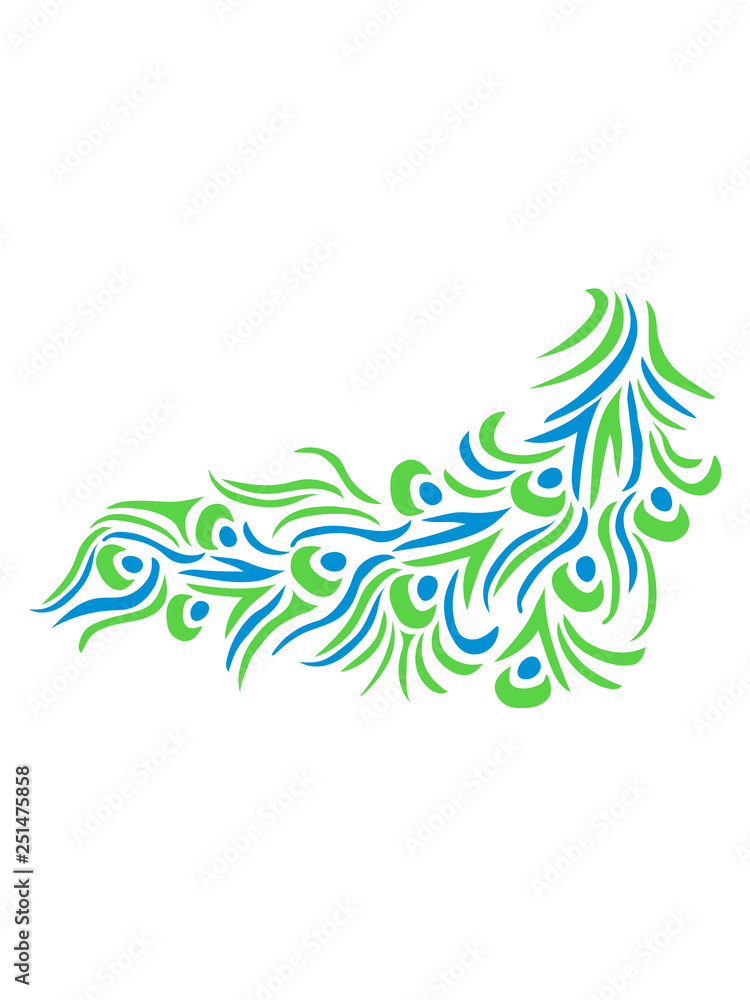 Fototapeta premium schwanz muster tattoo bunt dekorativ vogel pfau fasan federn groß männlich schön hübsch augen zoo wildtier comic cartoon clipart design