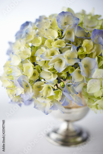 Hydrangeas in Metal Vase