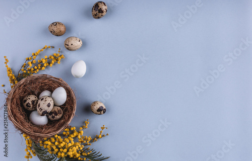 Easter eggs in nest and spring flowers on holiday background. Top view with copy space. Happy Easter card. photo