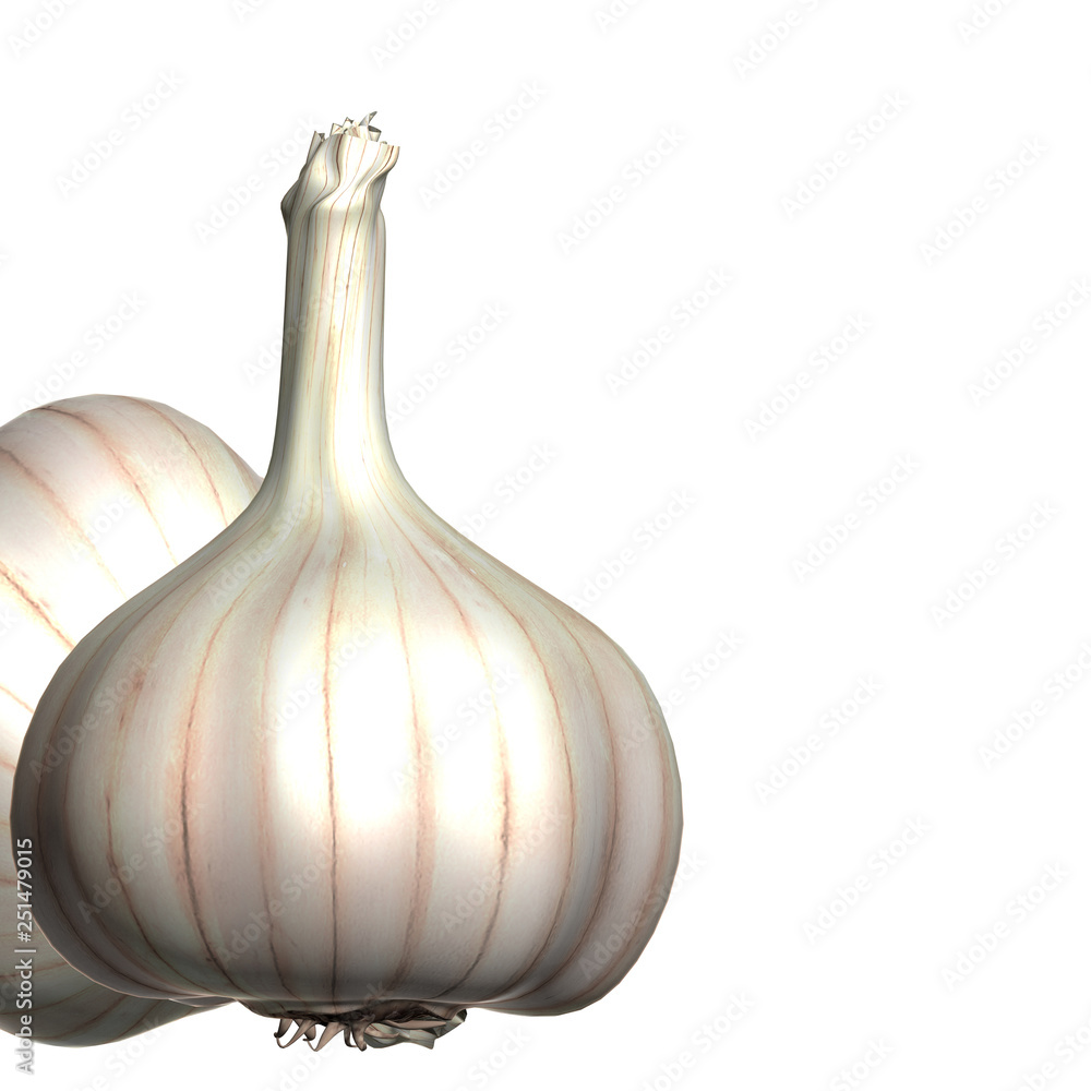 3d render garlic
