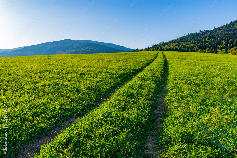 Long straight road on a grassy field