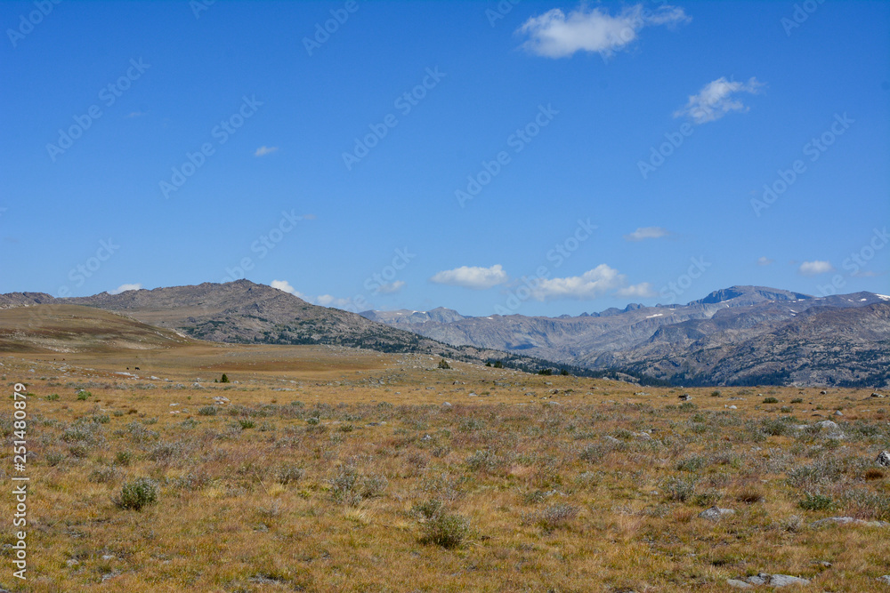 Rocky Mountain landscape of the bighorn mountains in Wyoming.