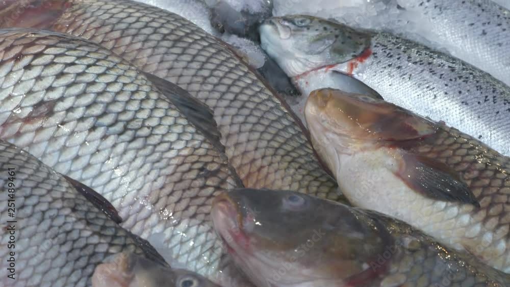 A close up view of piles of frozen fish in a market stall. A close up view of piles of frozen fish in a market stall.
