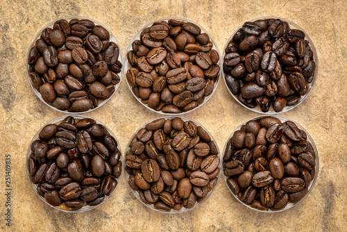 Canvas Print variety of coffee beans from different parts of the world