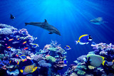 Vibrant background of colorful coral reef with beautiful marinefish, Whale shark, Manta ray and Dolphin