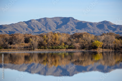 Mountains of New Mexico