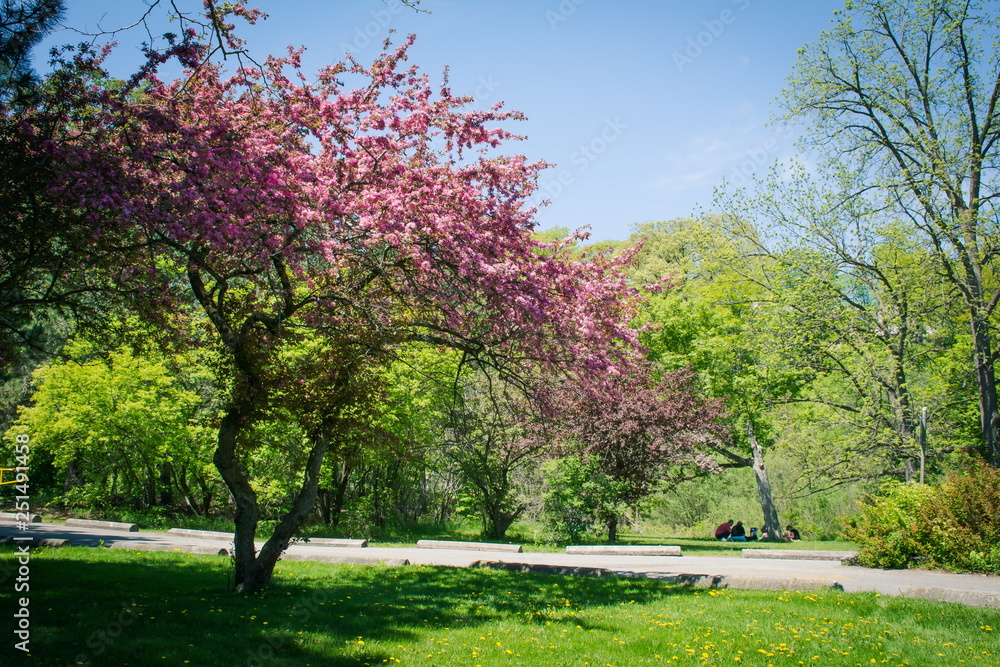 Toronto James Gardens Park