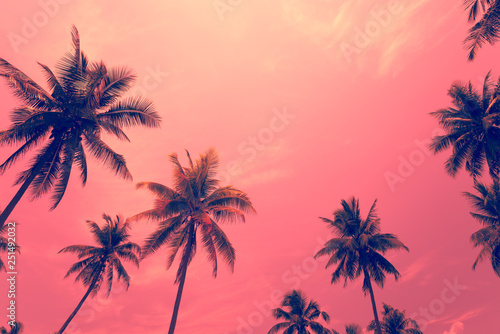Coconut palm trees - Tropical summer beach holiday  Color fun tone