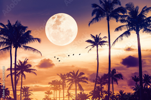 Tropical night. Full moon and palm tree birds fly abstract background.