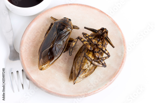 Giant Water Bug is edible insect for eating as food Insects cooking deep-fried crispy snack on plate and fork with sauce on white background, it is good source of protein. Entomophagy concept.