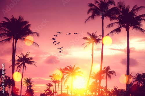 Fototapeta Naklejka Na Ścianę i Meble -  Tropical palm tree with colorful bokeh sun light on sunset sky cloud abstract background.