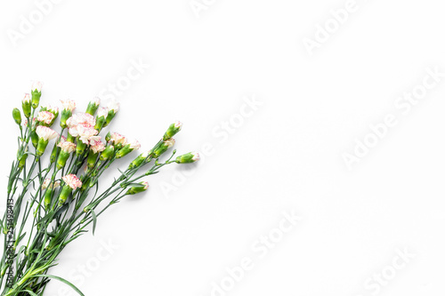 Delicate spring flowers. Small pink carnation on white background top view copy space