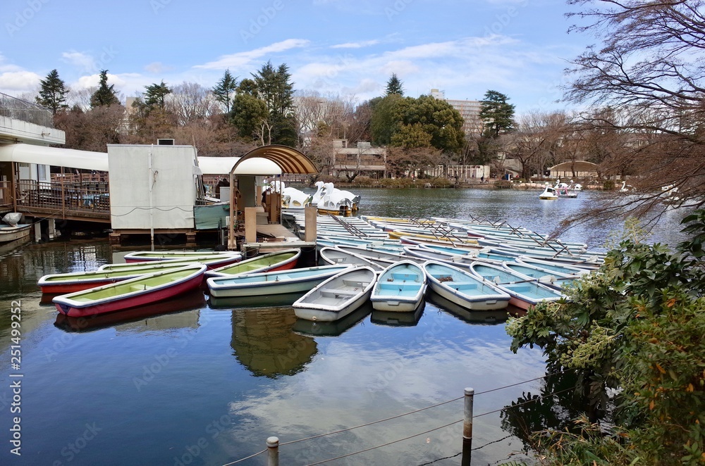 Obraz premium 井の頭恩賜公園のボート場
