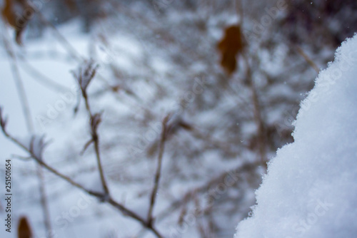 Tiny Snowflakes