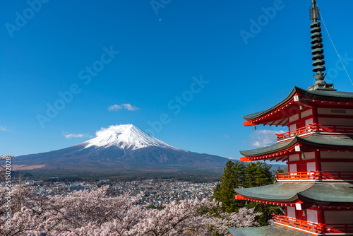 Mount Fuji viewed from behind Chureito Pagoda in full bloom cherry blossoms springtime sunny day in clear blue sky natural background. Arakurayama Sengen Park, Fujiyoshida, Yamanashi Prefecture, Japan