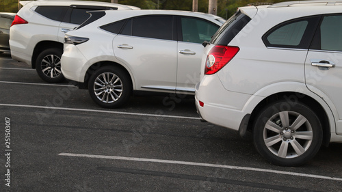 Closeup of back or rear side of white car and other cars parking in parking area in twilight evening.  © Amphon