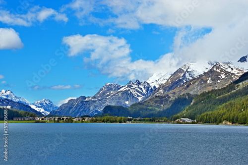 Fototapeta Naklejka Na Ścianę i Meble -  Swiss Alps-view of the lake of Silvaplana