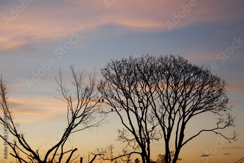 amanecer