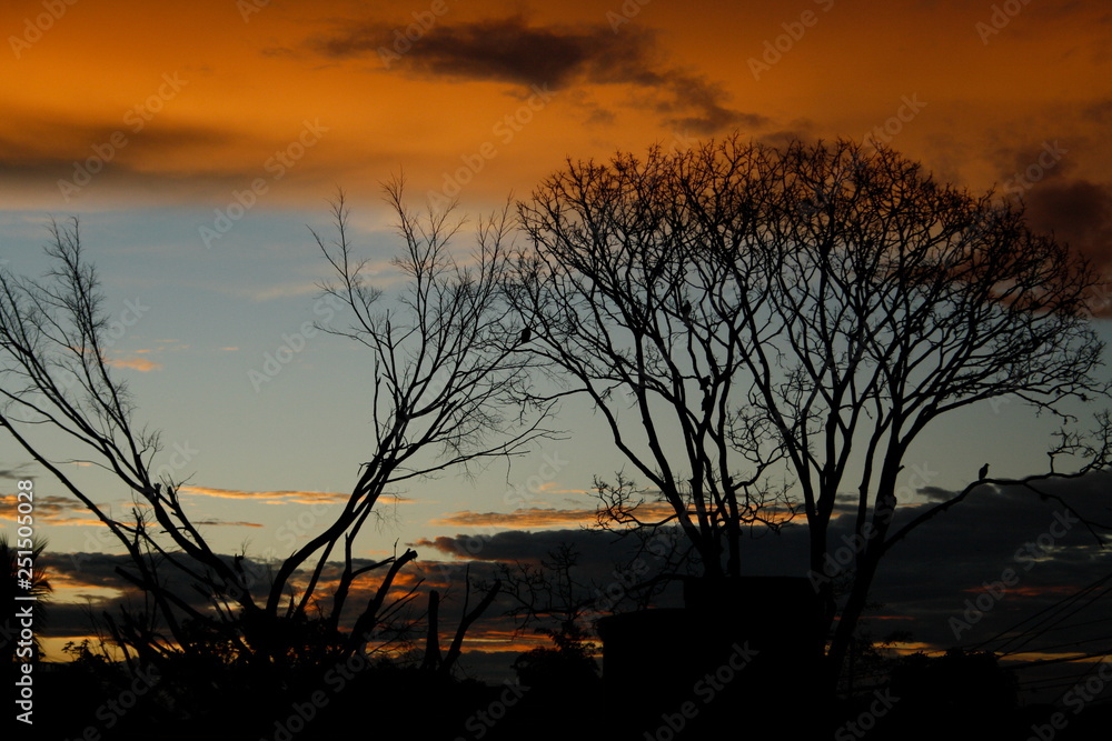 Fototapeta premium amanecer