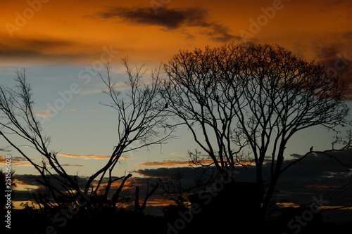 amanecer