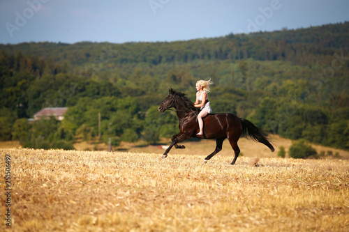 Horse with rider (woman) on a summer evening gallops over a harvested cornfield, wearing only a summer dress and bareback with open hair.